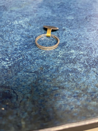 silver ring (P).