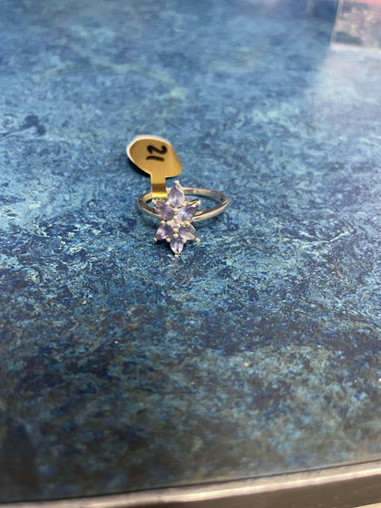 silver ring (P).