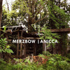Merzbow – Anicca