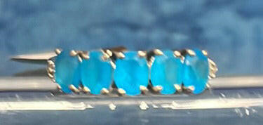 silver ring (P).