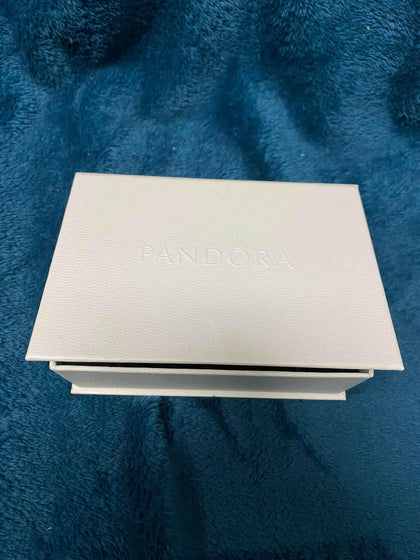 Pandora care kit & bracelet.