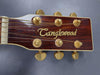 Tanglewood Sundance TW45 NS E Electro Acoustic Guitar