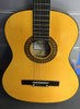 Hearld acoustic guitar