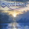 Medwyn Goodall - Excalibur (Audio CD)