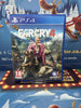 Far Cry 4 (PS4)