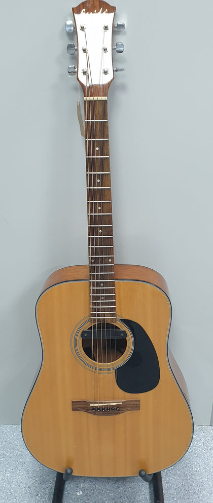 Farida D-8 NA Dreadnought Acoustic Guitar - Custom Electro acoustic.