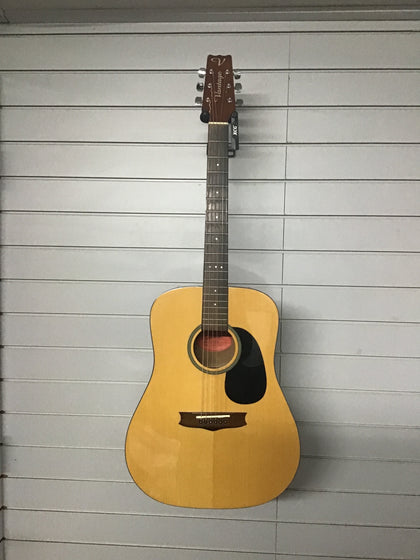 Vintage vs-5 acoustic guitar.