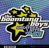 BOOMTANG Boys-Greatest Hits (CD)